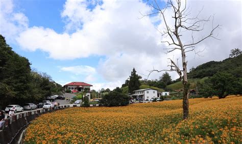 社區有什麼|你住的是「村里」還是「社區」？這就是為什麼台灣需。